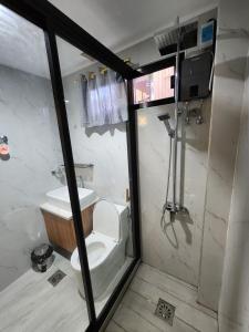 道伊斯Riverduplex - Luxury duplex at a fair price的一间带卫生间和淋浴的小浴室