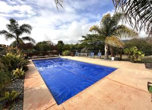 纳尔逊Country Retreats on Ranzau 3的棕榈树庭院中的蓝色游泳池
