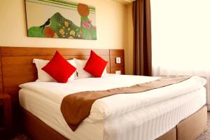 乌兰巴托Red Rock Resort的一间卧室配有一张带红色枕头的大床