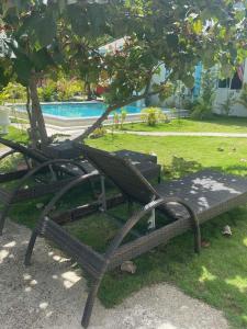 桑坦德Joy O Hoy Beach House的游泳池旁树下的一个公园长凳