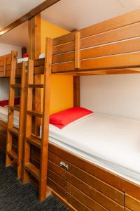 派西亚群岛湾（派西亚）哈卡山林小屋旅舍的宿舍间的两张双层床位 - 带白色床垫