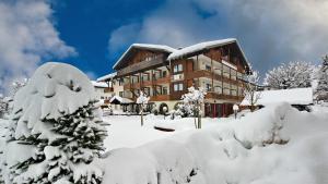 上施陶芬Trail Hotel Oberstaufen的一座大建筑,被雪覆盖着,树上覆盖着雪