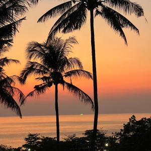 Ka RornKata Villa Merit Hill Bungalows的日落时分在海洋前两棵棕榈树