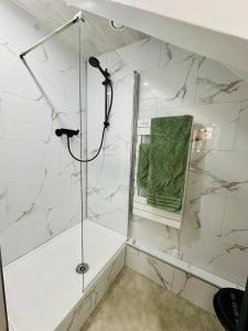 圣吉尔Studio Cosy的带淋浴和绿毛巾的浴室
