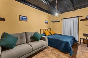 UgaCasa Rural Vega de Timanfaya的客厅配有沙发和1张床