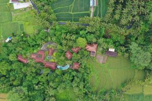 乌布BeingSattvaa Luxury Ubud - CHSE Certified的享有花园的顶部景致,花园内种有树木和灌木丛