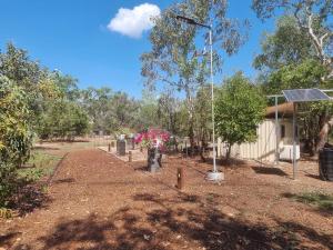 BatchelorNina's Ark Wildlife Sanctuary Package的花朵粉红色和花柱的花园