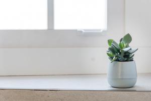 波尔图GuestReady - Modern luxe getaway in Vitória的坐在窗台上的白花瓶里的植物