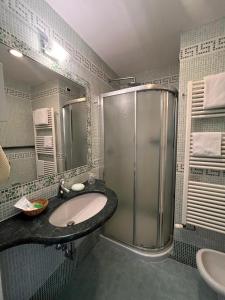 加尔法尼亚纳新堡HOTEL LUDOVICO ARIOSTO的一间带水槽和淋浴的浴室