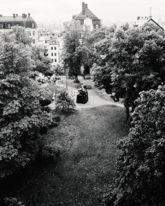 斯德哥尔摩Villa Dahlia的一张黑白的树木公园照片