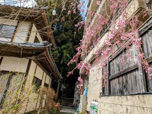 日光Sakahijiri Nikko的一座建筑的一侧,有粉红色花的小巷