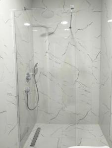 蒂瓦特Tivat Apartman的带淋浴的浴室和玻璃门