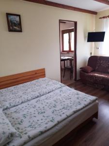 扎科帕内Pokoje gościnne Kozica的一间卧室配有一张床和一张沙发