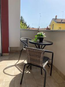 诺瓦拉Appartamento 44的种植了植物的阳台的桌椅