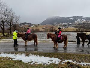 OrheimOrheimstunet - Gårdsferie for storfamilien der også hunden er velkommen的一群骑马的人