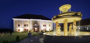 Alfrédov阿尔弗莱多福高尔夫康体度假酒店的夜间在建筑物前的喷泉