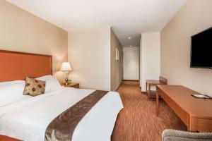 皇后区华美达法拉盛皇后酒店的酒店客房设有一张大床和一张书桌。