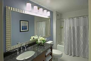 布法罗布法罗凯悦酒店的一间带水槽、卫生间和镜子的浴室