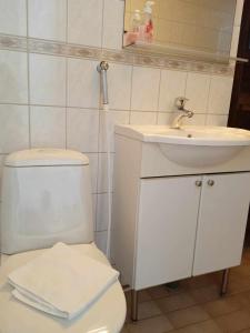 上维耶斯卡Einonhovi的浴室配有白色卫生间和盥洗盆。