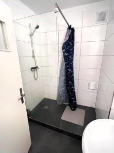 门兴格拉德巴赫GÜNSTIGE PREMIUM UNTERKUNFT in MÖNCHENGLADBACH的带淋浴的浴室和玻璃门