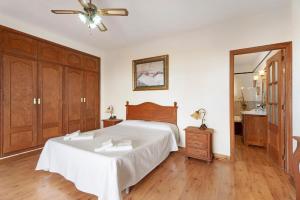 阿德耶Casa Rural Tijoco by Paramount Holidays的一间卧室配有一张床和吊扇
