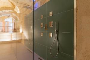马泰拉Endea Suite Rooms & Lounge SPA的带淋浴的浴室,设有绿色的墙壁