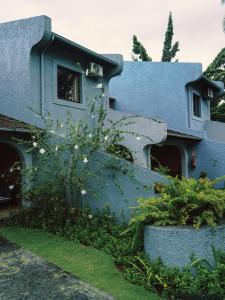 圣多美圣多美欧马里酒店 的一只猫把头伸出窗户的蓝色房子