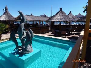 特里班Tribunia Beach Hotel的一座游泳池旁岩石上的两只鸟雕像