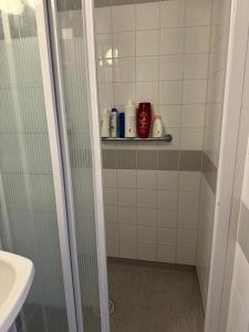斯德哥尔摩2 sovrum i en del av lägenheten的带淋浴、水槽和架子的浴室
