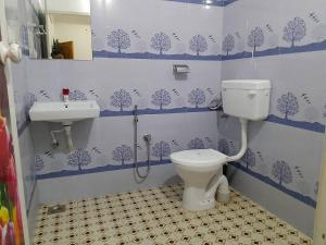 可瓦兰Somatheertham Panchakarma Resort的一间带卫生间和水槽的浴室