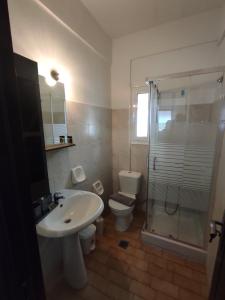 凯法利尼亚岛Irene apartment in Vlachata village!的一间带水槽、卫生间和淋浴的浴室