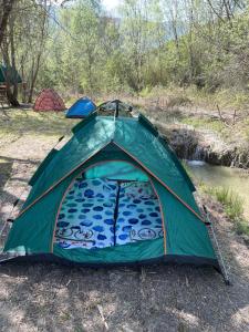 培拉特Lake Campground Silvano的河边的绿色帐篷