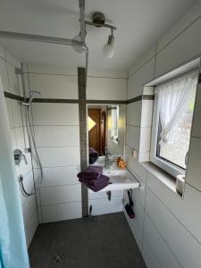 比绍夫斯维森罗腾勒恩公寓的一间带水槽和镜子的浴室