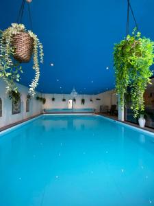 索斯特B&B Wellness Soest的一座拥有蓝色天花板和植物的大型游泳池