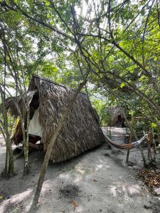 San OnofreEco-Camping Mango Feliz Rincón del Mar的前面带吊床的草屋