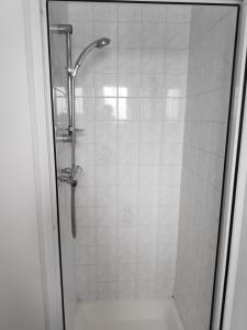 班多伦Fairy Bridge Lodge的浴室里设有玻璃门淋浴