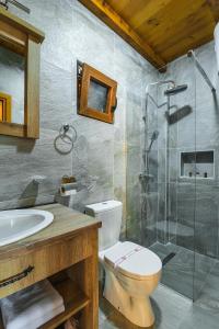 威尔帕扎Lake Valley的一间带卫生间和玻璃淋浴间的浴室