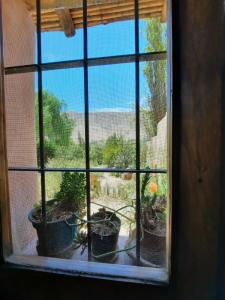 蒂尔卡拉La Calabaza Cabaña的花园里种有盆栽植物的开放式窗户