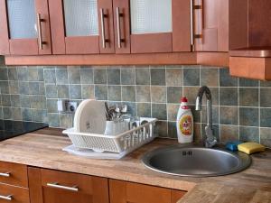 波兹南Kozia 24/25的厨房水槽旁设有碗碟干燥架