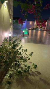 Al Harazatشاليه النجمه الذهبيه的建筑里一间有灯和植物的空房间