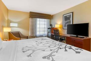 爱达荷福尔斯Sleep Inn & Suites Idaho Falls Gateway to Yellowstone的配有一张床和一台平面电视的酒店客房