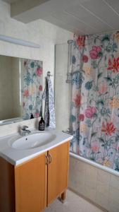 阿克雷里Akureyri Old Town Home的一间带水槽和淋浴的浴室