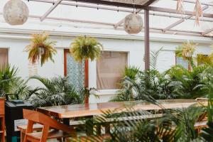 别霍港La Tribu Boutique Hostel for women的配有桌椅和植物的房间