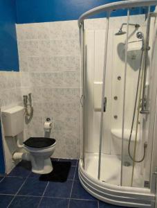 萨拉热窝Waterfall Hostel的带淋浴和卫生间的浴室。