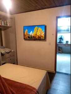 阿鲁雅Pousada Sol de Primavera的卧室配有壁挂式平面电视。