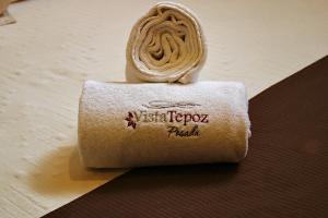 迪坡斯特兰Posada Vista Tepoz的一张桌子上坐着的卫生纸