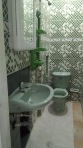 巴耶杜帕尔APTO AMOBLADO CERCA A PLAZA ALFONSO LOPEZ的一间带绿色水槽和卫生间的浴室