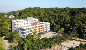 多森多桑翰维特酒店的棕榈树建筑的顶部景色