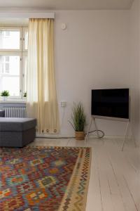 赫尔辛基Design stay in the heart of Punavuori的一间带电视和地毯的客厅