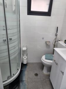 贝特谢安בית המזל的带淋浴、卫生间和盥洗盆的浴室